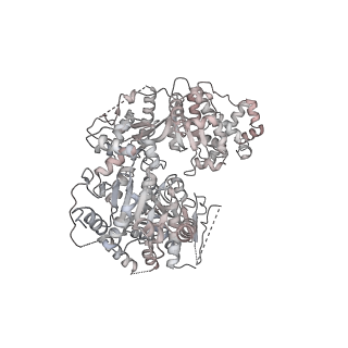 0954_6lqu_RL_v1-2
Cryo-EM structure of 90S small subunit preribosomes in transition states (State A1)