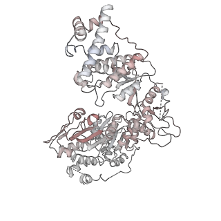 0954_6lqu_RM_v1-1
Cryo-EM structure of 90S small subunit preribosomes in transition states (State A1)