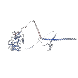0954_6lqu_RN_v1-1
Cryo-EM structure of 90S small subunit preribosomes in transition states (State A1)