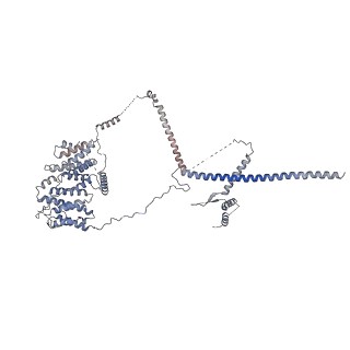 0954_6lqu_RN_v1-2
Cryo-EM structure of 90S small subunit preribosomes in transition states (State A1)