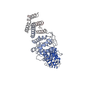 0954_6lqu_RO_v1-1
Cryo-EM structure of 90S small subunit preribosomes in transition states (State A1)