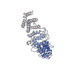 0954_6lqu_RO_v1-2
Cryo-EM structure of 90S small subunit preribosomes in transition states (State A1)