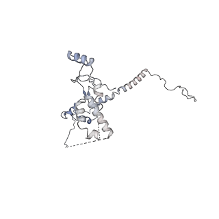 0954_6lqu_RQ_v1-1
Cryo-EM structure of 90S small subunit preribosomes in transition states (State A1)