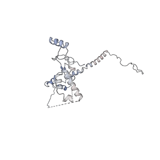 0954_6lqu_RQ_v1-2
Cryo-EM structure of 90S small subunit preribosomes in transition states (State A1)