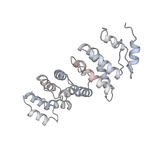 0954_6lqu_RS_v1-1
Cryo-EM structure of 90S small subunit preribosomes in transition states (State A1)