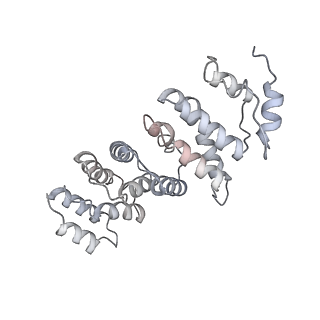 0954_6lqu_RS_v1-2
Cryo-EM structure of 90S small subunit preribosomes in transition states (State A1)