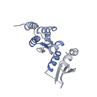 0954_6lqu_RT_v1-2
Cryo-EM structure of 90S small subunit preribosomes in transition states (State A1)