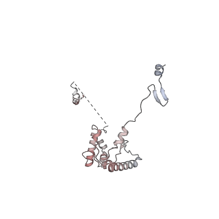 0954_6lqu_RV_v1-1
Cryo-EM structure of 90S small subunit preribosomes in transition states (State A1)