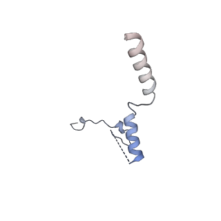 0954_6lqu_RW_v1-1
Cryo-EM structure of 90S small subunit preribosomes in transition states (State A1)