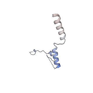 0954_6lqu_RW_v1-2
Cryo-EM structure of 90S small subunit preribosomes in transition states (State A1)