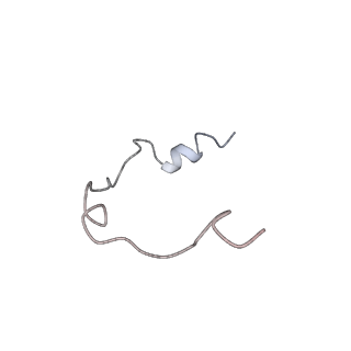 0954_6lqu_RY_v1-1
Cryo-EM structure of 90S small subunit preribosomes in transition states (State A1)