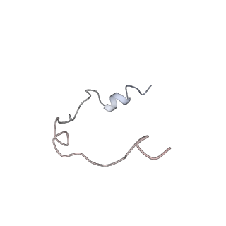 0954_6lqu_RY_v1-2
Cryo-EM structure of 90S small subunit preribosomes in transition states (State A1)