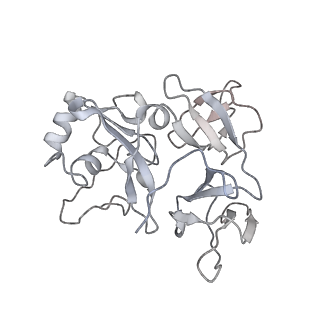 0954_6lqu_SF_v1-1
Cryo-EM structure of 90S small subunit preribosomes in transition states (State A1)