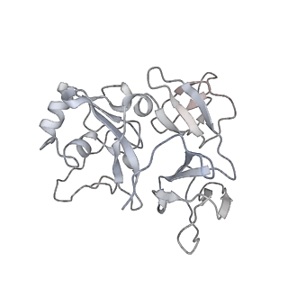 0954_6lqu_SF_v1-2
Cryo-EM structure of 90S small subunit preribosomes in transition states (State A1)