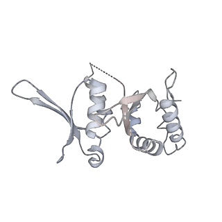 0954_6lqu_SI_v1-2
Cryo-EM structure of 90S small subunit preribosomes in transition states (State A1)