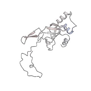 0954_6lqu_SJ_v1-1
Cryo-EM structure of 90S small subunit preribosomes in transition states (State A1)