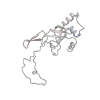 0954_6lqu_SJ_v1-2
Cryo-EM structure of 90S small subunit preribosomes in transition states (State A1)