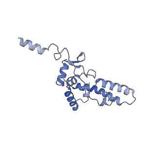 0954_6lqu_SK_v1-1
Cryo-EM structure of 90S small subunit preribosomes in transition states (State A1)