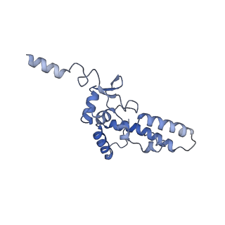 0954_6lqu_SK_v1-2
Cryo-EM structure of 90S small subunit preribosomes in transition states (State A1)