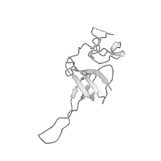 0954_6lqu_SM_v1-1
Cryo-EM structure of 90S small subunit preribosomes in transition states (State A1)