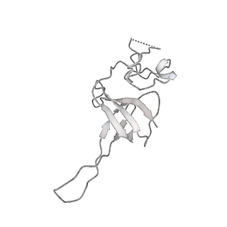 0954_6lqu_SM_v1-2
Cryo-EM structure of 90S small subunit preribosomes in transition states (State A1)