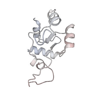 0954_6lqu_SN_v1-1
Cryo-EM structure of 90S small subunit preribosomes in transition states (State A1)