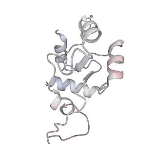 0954_6lqu_SN_v1-2
Cryo-EM structure of 90S small subunit preribosomes in transition states (State A1)