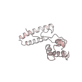 0954_6lqu_SO_v1-2
Cryo-EM structure of 90S small subunit preribosomes in transition states (State A1)