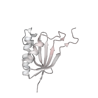 0954_6lqu_SP_v1-1
Cryo-EM structure of 90S small subunit preribosomes in transition states (State A1)