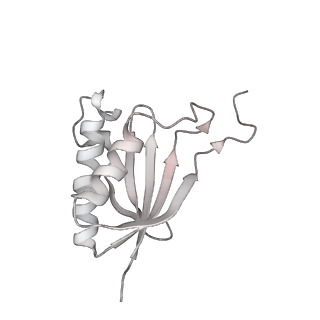 0954_6lqu_SP_v1-2
Cryo-EM structure of 90S small subunit preribosomes in transition states (State A1)