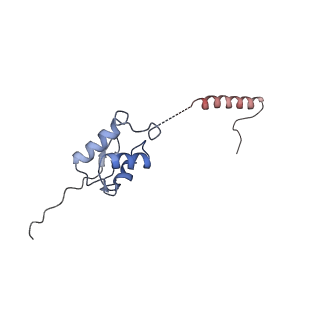 0954_6lqu_ST_v1-2
Cryo-EM structure of 90S small subunit preribosomes in transition states (State A1)