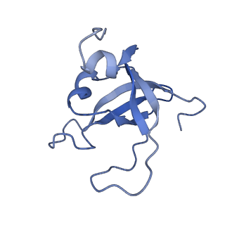 0954_6lqu_SY_v1-1
Cryo-EM structure of 90S small subunit preribosomes in transition states (State A1)
