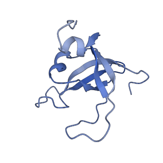 0954_6lqu_SY_v1-2
Cryo-EM structure of 90S small subunit preribosomes in transition states (State A1)