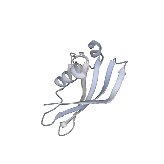 0954_6lqu_SZ_v1-2
Cryo-EM structure of 90S small subunit preribosomes in transition states (State A1)