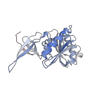 0955_6lqv_3B_v1-1
Cryo-EM structure of 90S small subunit preribosomes in transition states (State C1)