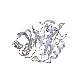 0955_6lqv_3C_v1-1
Cryo-EM structure of 90S small subunit preribosomes in transition states (State C1)