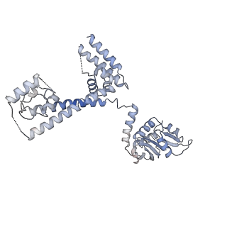 0955_6lqv_3D_v1-1
Cryo-EM structure of 90S small subunit preribosomes in transition states (State C1)