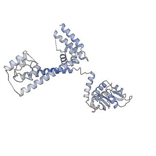 0955_6lqv_3D_v1-2
Cryo-EM structure of 90S small subunit preribosomes in transition states (State C1)