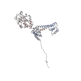 0955_6lqv_3E_v1-1
Cryo-EM structure of 90S small subunit preribosomes in transition states (State C1)