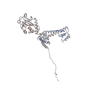 0955_6lqv_3E_v1-2
Cryo-EM structure of 90S small subunit preribosomes in transition states (State C1)