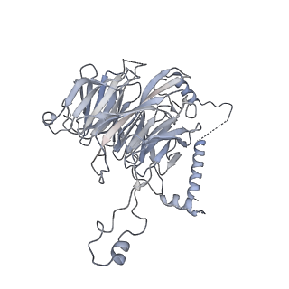 0955_6lqv_3F_v1-1
Cryo-EM structure of 90S small subunit preribosomes in transition states (State C1)