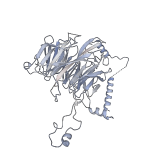 0955_6lqv_3F_v1-2
Cryo-EM structure of 90S small subunit preribosomes in transition states (State C1)