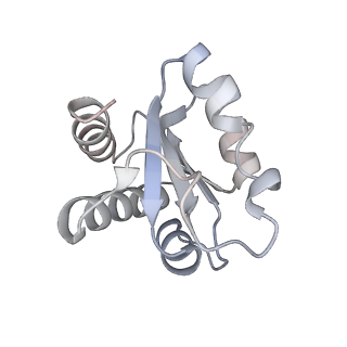 0955_6lqv_3G_v1-1
Cryo-EM structure of 90S small subunit preribosomes in transition states (State C1)