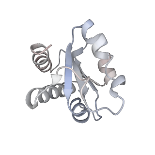 0955_6lqv_3G_v1-2
Cryo-EM structure of 90S small subunit preribosomes in transition states (State C1)
