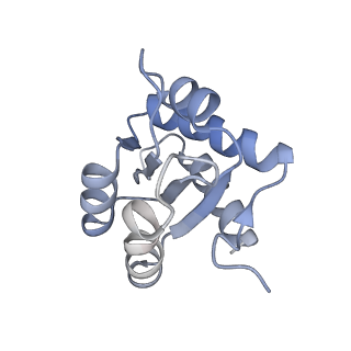 0955_6lqv_3H_v1-1
Cryo-EM structure of 90S small subunit preribosomes in transition states (State C1)