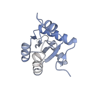 0955_6lqv_3H_v1-2
Cryo-EM structure of 90S small subunit preribosomes in transition states (State C1)