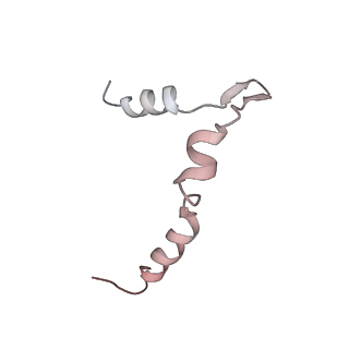 0955_6lqv_5B_v1-1
Cryo-EM structure of 90S small subunit preribosomes in transition states (State C1)