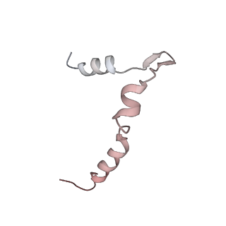 0955_6lqv_5B_v1-2
Cryo-EM structure of 90S small subunit preribosomes in transition states (State C1)