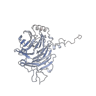 0955_6lqv_5C_v1-1
Cryo-EM structure of 90S small subunit preribosomes in transition states (State C1)