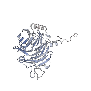 0955_6lqv_5C_v1-2
Cryo-EM structure of 90S small subunit preribosomes in transition states (State C1)